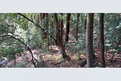 18355 Neeley Road, Guerneville, CA 95446 - Photo 3