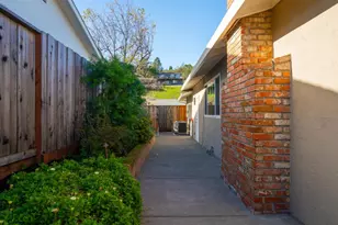 739 Tamarack Dr, San Rafael, CA 94903 - Photo 41