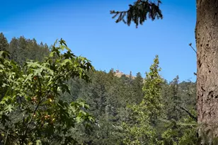 15 Mountain View Ave, Lagunitas, CA 94938 - Photo 11