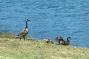 2230 Stagecoach Canyon Rd, Pope Valley, CA 94567 - Photo 27