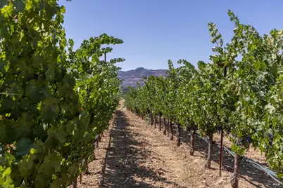 0 Aetna Springs Lane, Pope Valley, CA 94567 - Photo 11