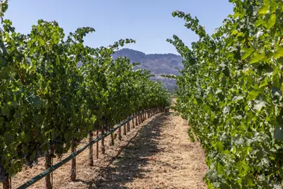 0 Aetna Springs Lane, Pope Valley, CA 94567 - Photo 17