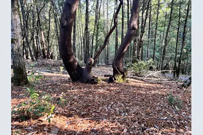 24250 Buckeye Lane, Willits, CA 95490 - Photo 3