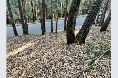 24250 Buckeye Lane, Willits, CA 95490 - Photo 5