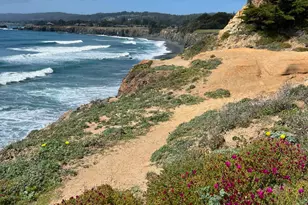 316 Constellation Ct, The Sea Ranch, CA 95497 - Photo 33