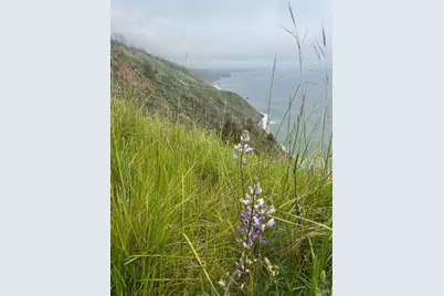 316 Constellation Court, The Sea Ranch, CA 95497 - Photo 35