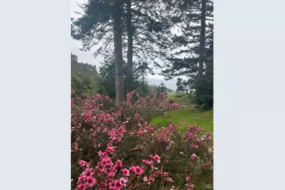 316 Constellation Court, The Sea Ranch, CA 95497 - Photo 25