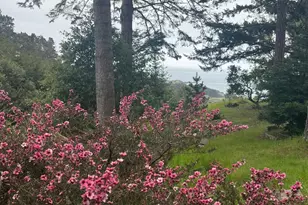 316 Constellation Ct, The Sea Ranch, CA 95497 - Photo 25