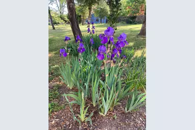 644 Piezzi Road, Santa Rosa, CA 95401 - Photo 33