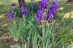 644 Piezzi Rd, Santa Rosa, CA 95401 - Photo 33