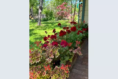 644 Piezzi Road, Santa Rosa, CA 95401 - Photo 5