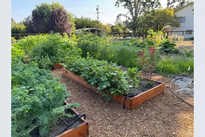 644 Piezzi Road, Santa Rosa, CA 95401 - Photo 45