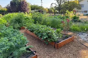 644 Piezzi Rd, Santa Rosa, CA 95401 - Photo 45