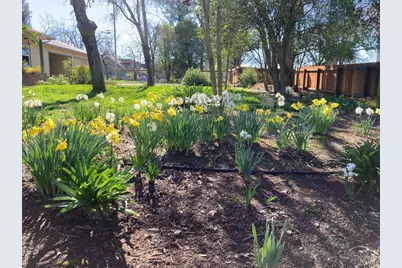 644 Piezzi Road, Santa Rosa, CA 95401 - Photo 29