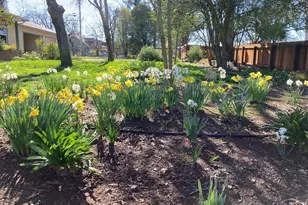 644 Piezzi Rd, Santa Rosa, CA 95401 - Photo 29