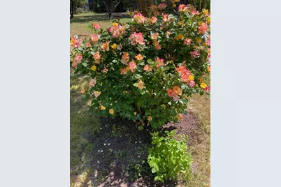 644 Piezzi Road, Santa Rosa, CA 95401 - Photo 51