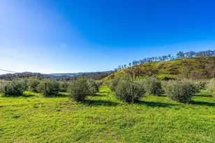 7871 Butts Canyon Rd, Pope Valley, CA 94567 - Photo 27