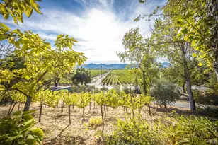 28678 River Rd, Cloverdale, CA 95425 - Photo 11