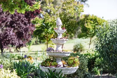 5215 Lakeville Highway, Petaluma, CA 94954 - Photo 53