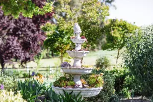 5215 Lakeville Hwy, Petaluma, CA 94954 - Photo 53