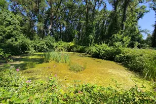 24271 Shady Ln, Covelo, CA 95428 - Photo 37