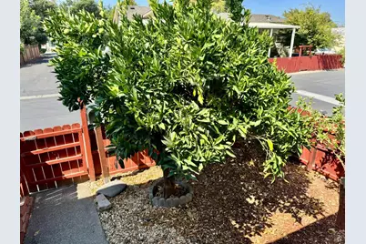 5229 Whispering Creek Drive, Santa Rosa, CA 95403 - Photo 13