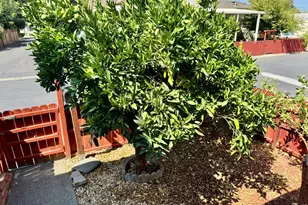 5229 Whispering Creek Dr, Santa Rosa, CA 95403 - Photo 13