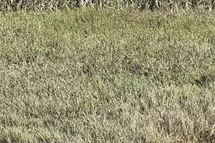 34 Boardwalk One, Larkspur, CA 94939 - Photo 19