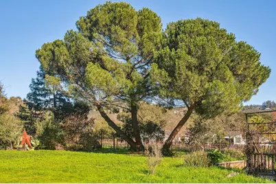 1795 Lovall Valley Road, Sonoma, CA 95476 - Photo 37