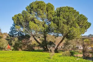 1795 Lovall Valley Rd, Sonoma, CA 95476 - Photo 37