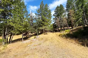 4101 Chinquapin Dr, Willits, CA 95490 - Photo 51