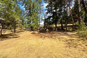 4101 Chinquapin Dr, Willits, CA 95490 - Photo 43