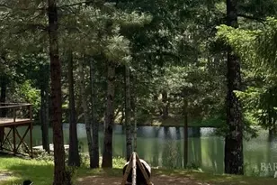 4101 Chinquapin Dr, Willits, CA 95490 - Photo 45