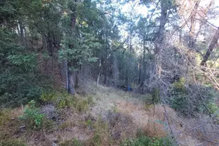 28990 Eel River Ranch Rd, Covelo, CA 95428 - Photo 17