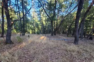 28990 Eel River Ranch Rd, Covelo, CA 95428 - Photo 29