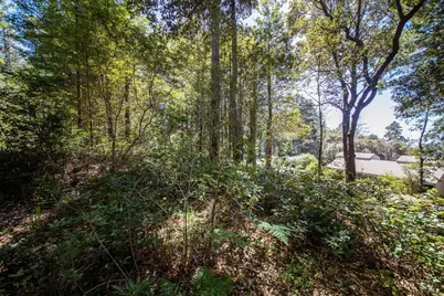 35261 Windsong Lane, The Sea Ranch, CA 95497 - Photo 15
