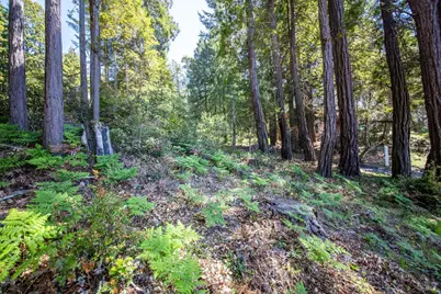 35261 Windsong Lane, The Sea Ranch, CA 95497 - Photo 17