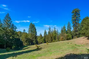 20205 Tumbling McD Rd, Philo, CA 95466 - Photo 65