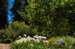 20205 Tumbling McD Rd, Philo, CA 95466 - Photo 61