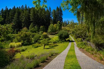 20205 Tumbling McD Road, Philo, CA 95466 - Photo 57