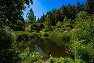 20205 Tumbling McD Rd, Philo, CA 95466 - Photo 59