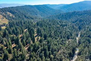 20205 Tumbling McD Rd, Philo, CA 95466 - Photo 75