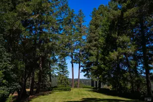 20205 Tumbling McD Rd, Philo, CA 95466 - Photo 47