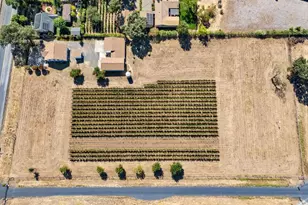 17260 Arnold Dr, Sonoma, CA 95476 - Photo 13