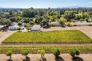 17260 Arnold Dr, Sonoma, CA 95476 - Photo 9