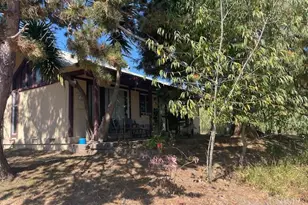 411 Highland Ave, Penngrove, CA 94951 - Photo 71