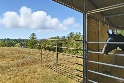 411 Highland Avenue, Penngrove, CA 94951 - Photo 23