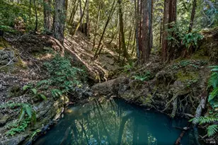 4901 Little Mill Creek Rd, Philo, CA 95466 - Photo 37