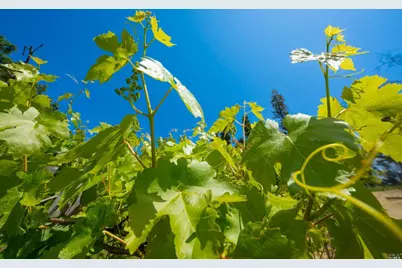 5159 Vista Grande Drive, Santa Rosa, CA 95403 - Photo 29