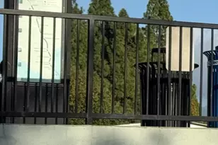 11 Avram Ave, Rohnert Park, CA 94928 - Photo 29